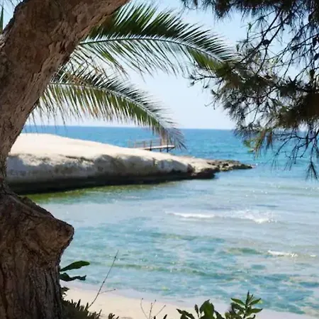 Estrella Del Mar