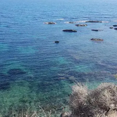 Estrella Del Mar *